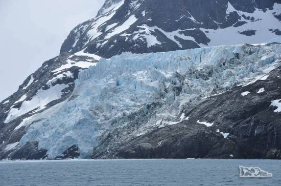 Mais uma das geleiras do Drygalski Fjord, na Geórgia do Sul